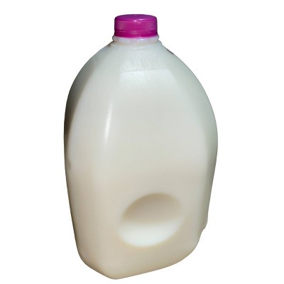 SunHearth Skim Fat Free Milk - 1gal