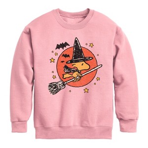 Boys' - Peanuts - Woodstock Witch Graphic Long Sleeve Fleece Sweatshirt - 1 of 4