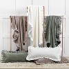 EY Essentials Ishana Throw Pillow Collection - 4 of 4