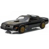 1977 Pontiac Firebird Trans Am T/A Starlite Black with Golden Eagle Hood and Stripes 1/24 Diecast Model Car by Greenlight - 2 of 3