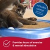 Coastal Pet Turbo Cat Scratcher Toy with Catnip - 3 of 3
