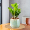 Unique Bargains Cork Round Home Decor Planter Display Stand for Table Lamp Teapot Base - 3 of 4