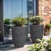 LuxenHome 2-Piece Tall Tapered Round Plastic Planters Set, Mediterranean Black - 2 of 4