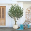 DR.Planzen 7FT Artificial Olive Tree with Thick Stump - UV Resistant Faux Plant for Indoor/Outdoor, Black Pot & Realistic Green Leaves - 4 of 4