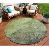 Green And Charcoal Abstract Washable Indoor Outdoor Area Rug - 2 of 4