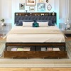Dexmalle Metal Platform Bed Frame with 2 Storage Drawers and Charging Station & LED Lights - 4 of 4