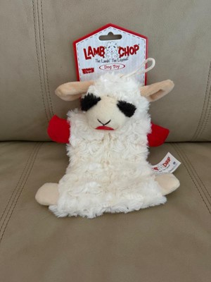 Guest review image 4 of 4, zoom in