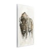 Stupell Industries Western American Buffalo Wall Plaque Art, 10" x 15" - 2 of 4