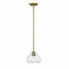 Amon Collection Oblate Glass Pendant Light - Vintage Inspired, Dimmable, 1 Bulb, 100W - 3 of 4