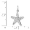 Black Bow Jewelry 14k White Gold 13mm 3D Textured Starfish Charm - 4 of 4