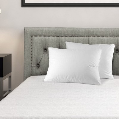 White Queen Size Cotton Down Alternative Pillows (2 Pack)