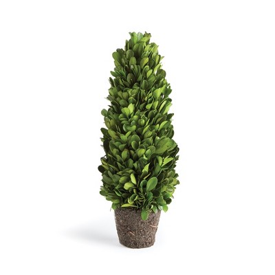 Plum & Post Boxwood Cone Topiary Drop-In 12"