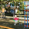 VEVOR Ninja Warrior Obstacle Course for Kids, 2 x 50 ft Weatherproof Slacklines, 500lbs Weight Capacity Monkey Line, Outdoor Playset Equipment - 2 of 4
