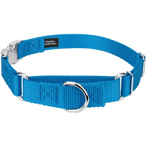 Country Brook Petz American Made Deluxe Ice Blue Nylon Dog Collar, Large