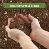 Soil Sunrise Avocado Tree Potting Soil Mix, Germinate, Grow, Repot - 4 of 4