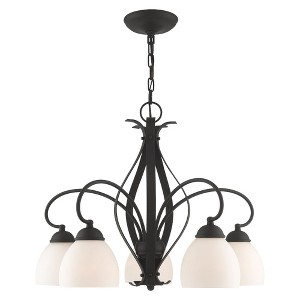 Livex Lighting Brookside 5 - Light Chandelier in  Black - 1 of 4