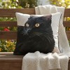Decorative Pillow Black Cat Portrait – 18 Inch by Manual Woodworkers and Weavers - 3 of 3