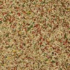 Kaytee Forti-Diet Pro Health Parakeet Bird Food, 25lb Bag - 2 of 2