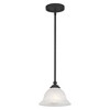 Livex Lighting North Port 1 - Light Pendant in  Black - 2 of 4