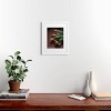 Deny Designs Hello Twiggs Terracotta Tulips White Framed Art Print - 2 of 4