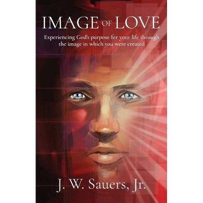 Image of Love - by  Jeffrey W Sauers (Paperback)