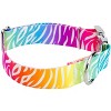 Country Brook Petz HossFit Jr Wide Premium  Dog Collar - Animal Print Collection - 3 of 4
