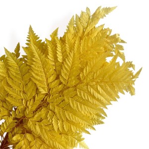 Alilang Decorative Dried Fern Leaves for Home Decoration and Floral Arrangements, 13.5 Inches - 1 of 4