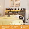 Aheaplus Storage Headboard with Led Lights & Charging Station - 3 of 4