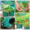 iMountek"13-Piece Heavy Duty Garden Tool Set with Aluminum Alloy Tools & Ergonomic Handles for Gardening"Gray - 3 of 4
