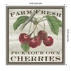 Amanti Art Farm Fresh Cherries by Sue Schlabach Canvas Wall Art Print Framed 16-in. x 16-in. - 4 of 4