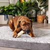 Pet Factory Made in USA Beefhide Braided Sticks - 4 of 4