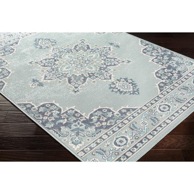 Hauteloom Orla Pale Blue Medallion Area Rug