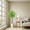 Acekool Artificial Ficus Tree, Realistic Indoor Potted Plant with Natural Wood Trunk, Faux Greenery for Home & Office - 4 of 4