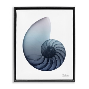 Stupell Industries Contemporary Nautilus Shell, 17" x 21" - 1 of 4