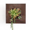 Modern Home Living Wall Galvanized Steel/Zinc Succulent Planter - 4 of 4