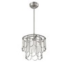 Craftmade Lighting 1 - Light Pendant in  Brushed Polished Nickel - 4 of 4