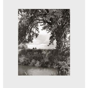 Robert Adams: Cottonwoods - by  Joshua Chuang (Hardcover) - 1 of 1