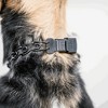 Herm. Sprenger®  ULTRA-PLUS Dog Training Collar with ClicLock & Assembly Chain, Black Stainless, 3.2 mm x 18" Neck Size; 24" Chain Length - 3 of 3