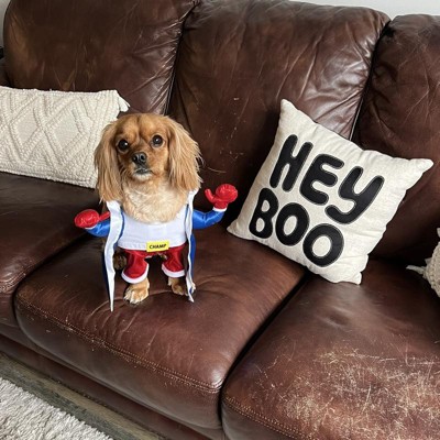 Halloween Dog And Cat Basketball Jersey - Hyde & Eek! Boutique™ : Target