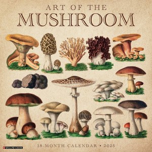 Willow Creek Press Art of the Mushroom 2025 Wall Calendar: Monthly, 12x12 Inches, Paper, Sewn Binding, All Ages - 1 of 4