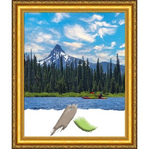 Amanti Art Colonial Embossed Gold Wood Picture Frame - 1 of 4