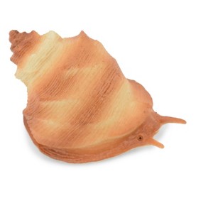Collectible Wildlife Gifts | Sea Snail, Conch Shell, Ocean, Beach, Sea Life, Plastic Model, Realistic,  Animal, Life Like, Gift,  2 1/2"   F6023 B378 - 1 of 4