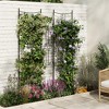 Elegant 2 Rack Baroque Iron Trellis for Climbing Plants, 1.6FT Tall Rustproof Garden Support for Roses, Vegetables, and Indoor Potted Plants - 3 of 4