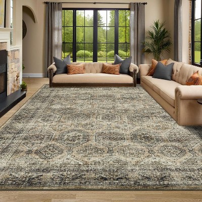 Vintage Distressed Area Rug - Washable Low Pile Stain Resistant Carpet with Non-Slip Backing for Bedroom, Living Room, Dining Room, Office