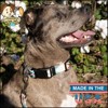 Country Brook Petz Deluxe Dog Collar - Chevron and Arrows Collection - Made in The U.S.A. - 2 of 4