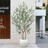 DR.Planzen 8ft Artificial Olive Tree with 18in White Planter, Faux Trees with Real Branches and Fruits and three-dimensional design for Home Decor - 4 of 4