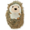 Peter Pauper Press Hug A Hedgehog Kit, Includes Plush Toy and Hedgehog Hugger's Guide, Ages 3 and Up - 4 of 4