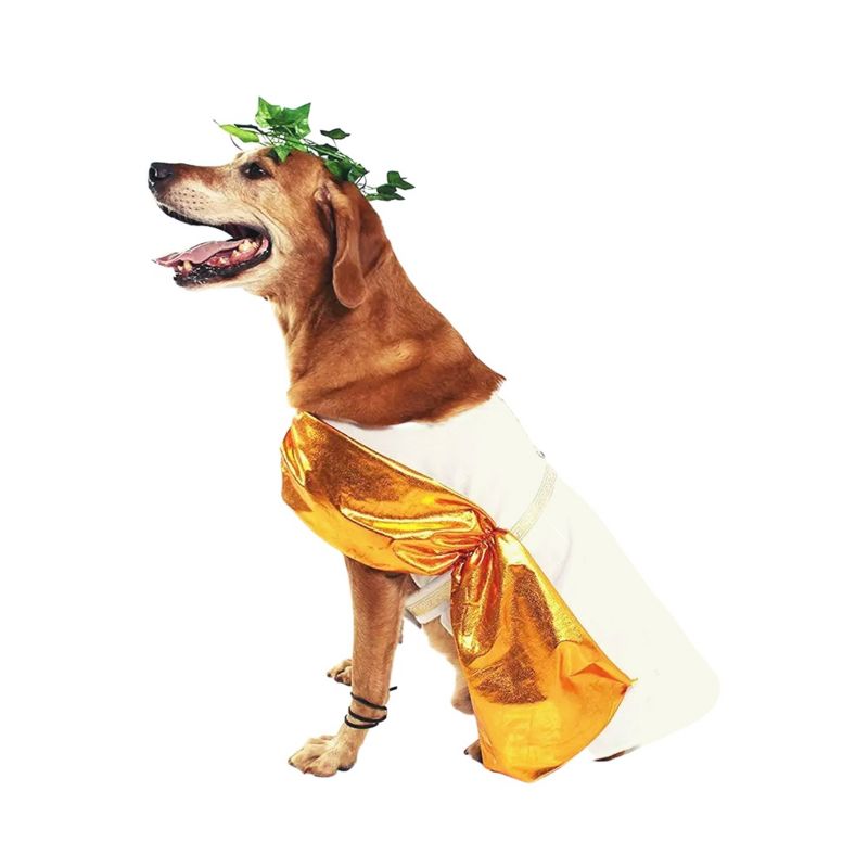 Midlee Toga Dog Costume, 5 of 10