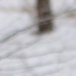 red plate + black pole + red wheel