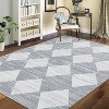 Whashable Runner Rugs for Hallway Runner Washable Kitchen Rugs Non Slip Modern Checkered Carpet Farmhouse Soft Contemporary Low Pile Carpet - 2 of 4